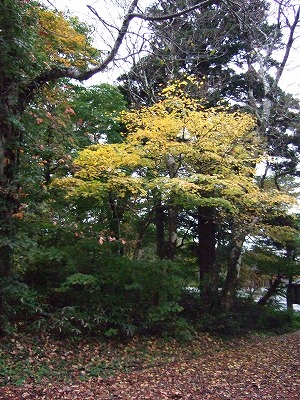 c0127617_18404562.jpg