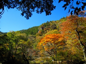 e0002820_204297.jpg