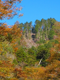 e0002820_2143971.jpg