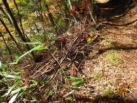 e0002820_21481414.jpg
