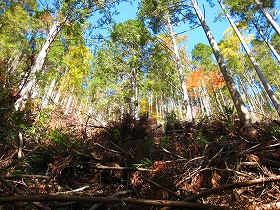 e0002820_21512036.jpg