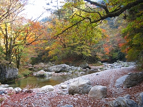 e0002820_22131177.jpg