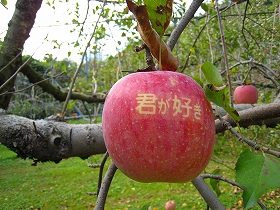 e0002820_22304117.jpg