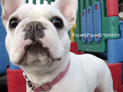 f0155120_18203111.gif