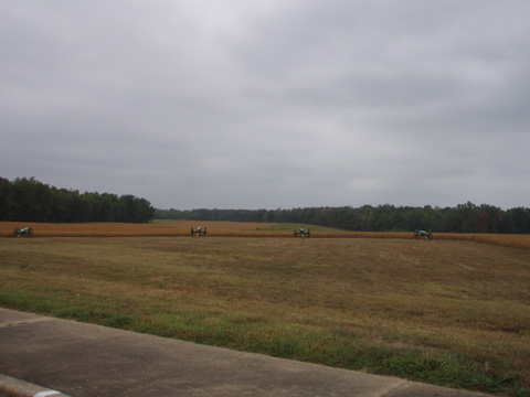 a0097322_8561374.jpg
