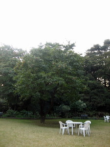 d0107326_005066.jpg