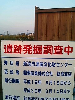 e0104331_17534289.jpg