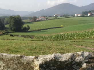 b0116933_20431328.jpg