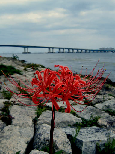 c0032138_12255421.jpg