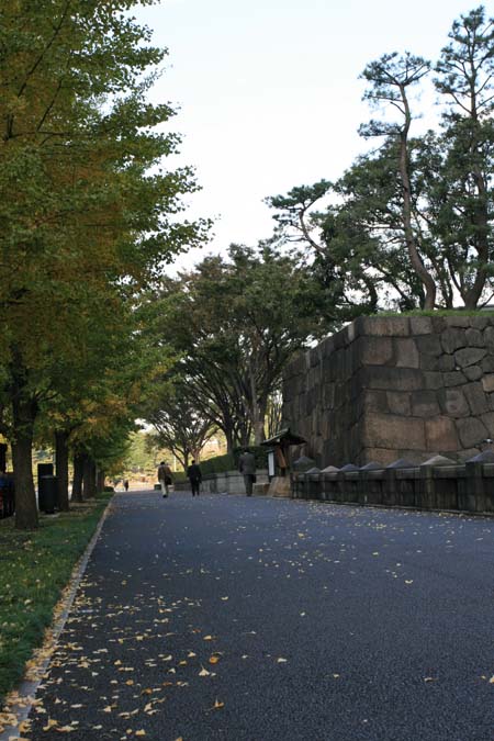a0076043_2221181.jpg
