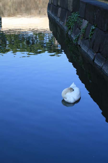 a0076043_2222258.jpg