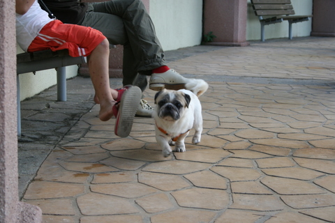 e0018143_12464513.jpg