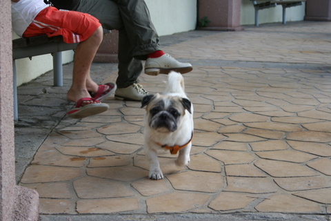 e0018143_124728.jpg