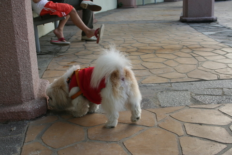 e0018143_12473439.jpg