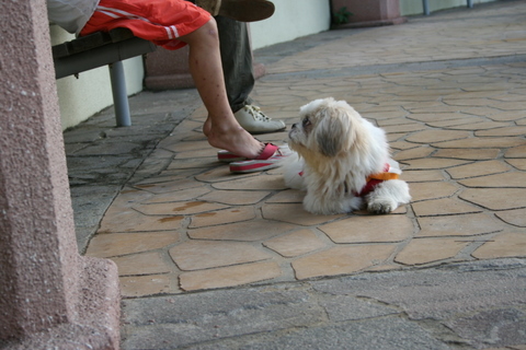 e0018143_1248420.jpg