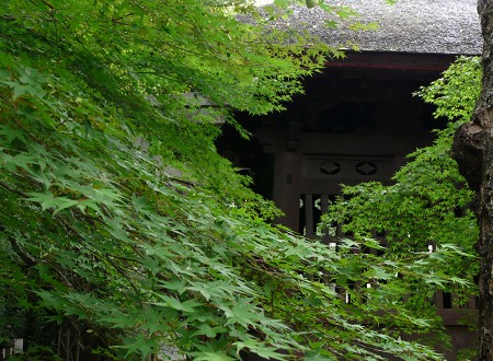 c0057946_1951846.jpg