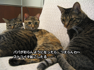 f0116546_19133095.gif