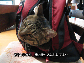 f0116546_19136100.gif