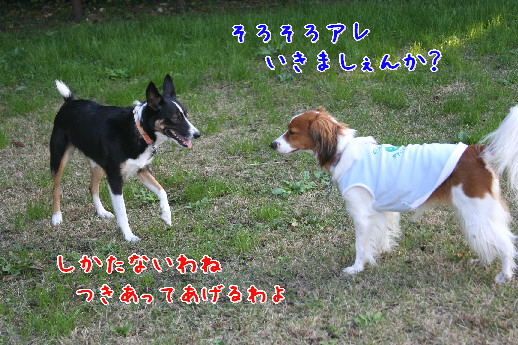 d0013149_13241394.jpg