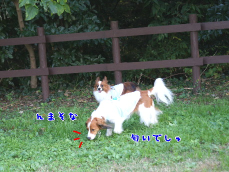 d0013149_1325328.jpg