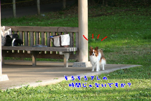 d0013149_13292850.jpg