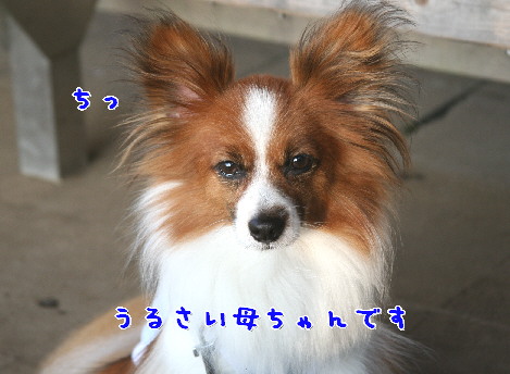d0013149_1391445.jpg