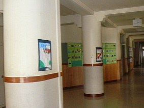 a0074653_22172827.jpg