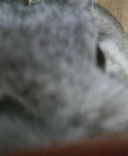 f0104057_2241924.jpg