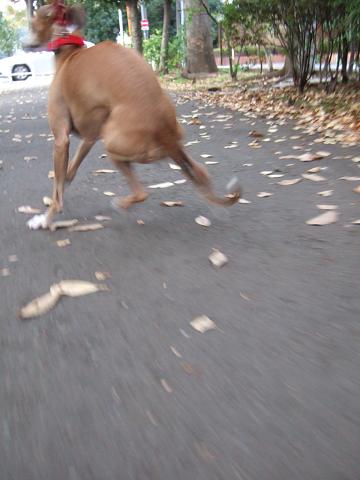 f0158862_13551075.jpg