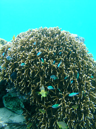 b0062363_19364868.jpg