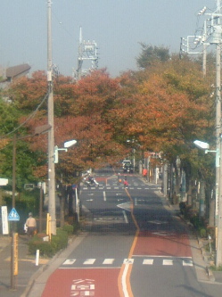 e0016164_2394949.jpg