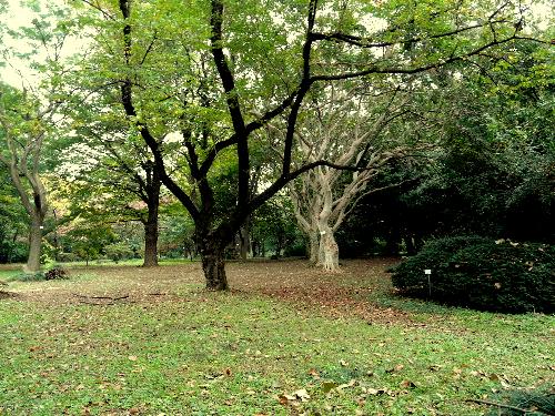 d0084473_19494938.jpg