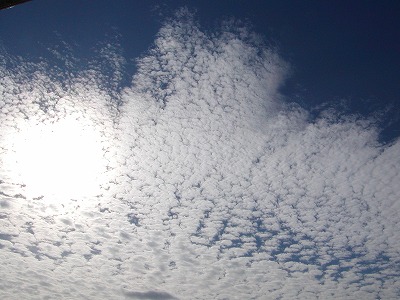 c0131478_022672.jpg