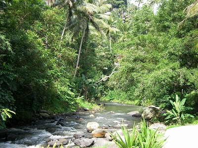 b0101284_19324544.jpg