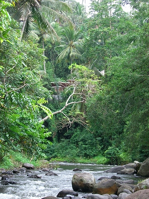 b0101284_1934199.jpg