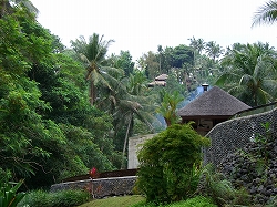 b0101284_19372492.jpg