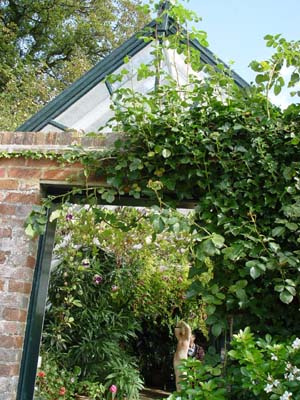e0008586_8154857.jpg
