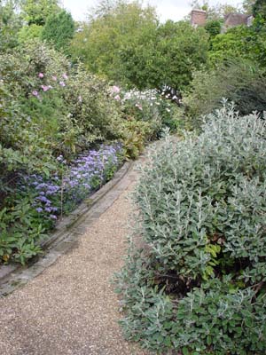 e0008586_821516.jpg