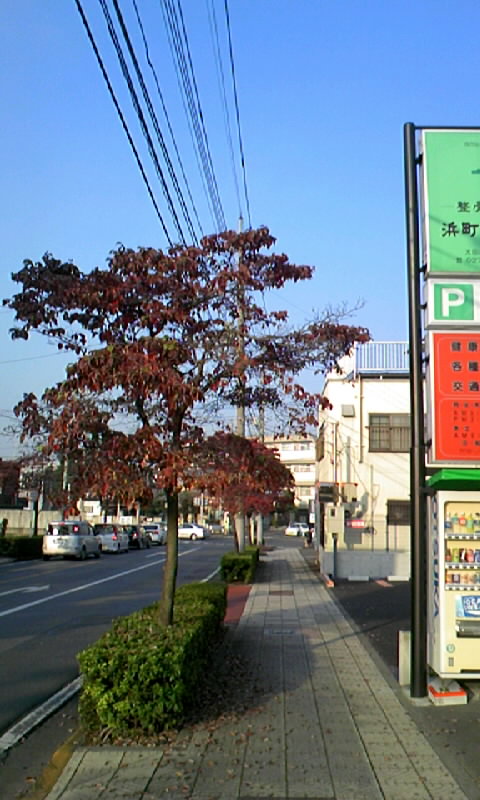b0119892_0131733.jpg