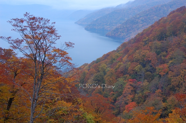 c0134295_19454997.jpg