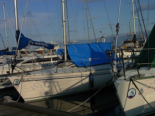 f0157901_2036816.jpg