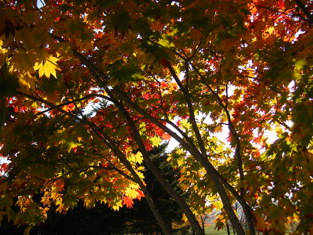 c0144703_122838.jpg