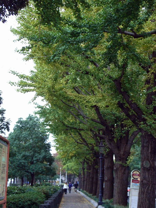 a0068306_2211370.jpg