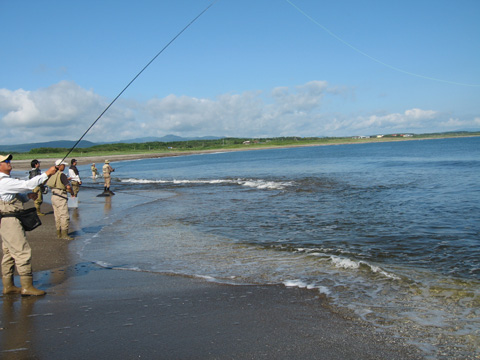 d0051707_1929586.jpg