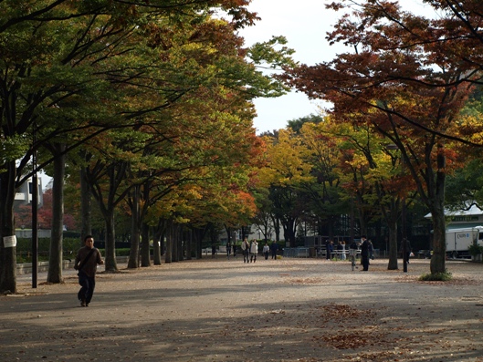 e0083212_16114288.jpg