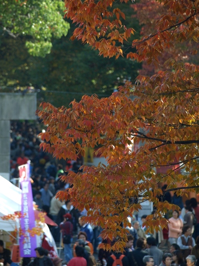 e0083212_1691274.jpg
