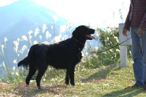 a0090313_171444.jpg