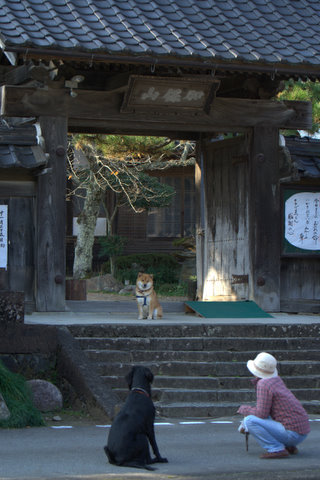 a0090313_1850629.jpg