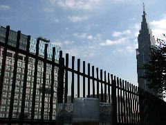 b0053414_1253552.jpg