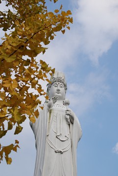 f0046614_225693.jpg